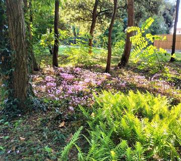 Villa pour 7 personnes, avec vue et jardin à Jard-sur-Mer