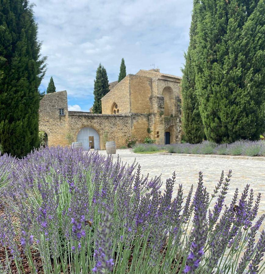 Villa with Private Pool in Puyvert, Parc naturel régional du Luberon