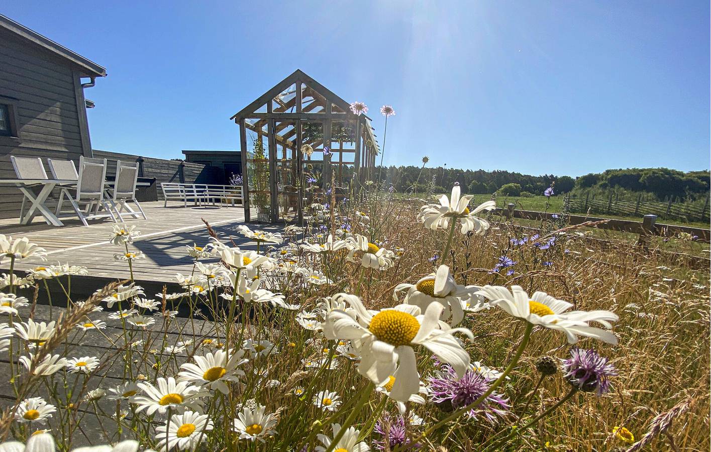 Hus för 5 Personer med trädgård in Öland