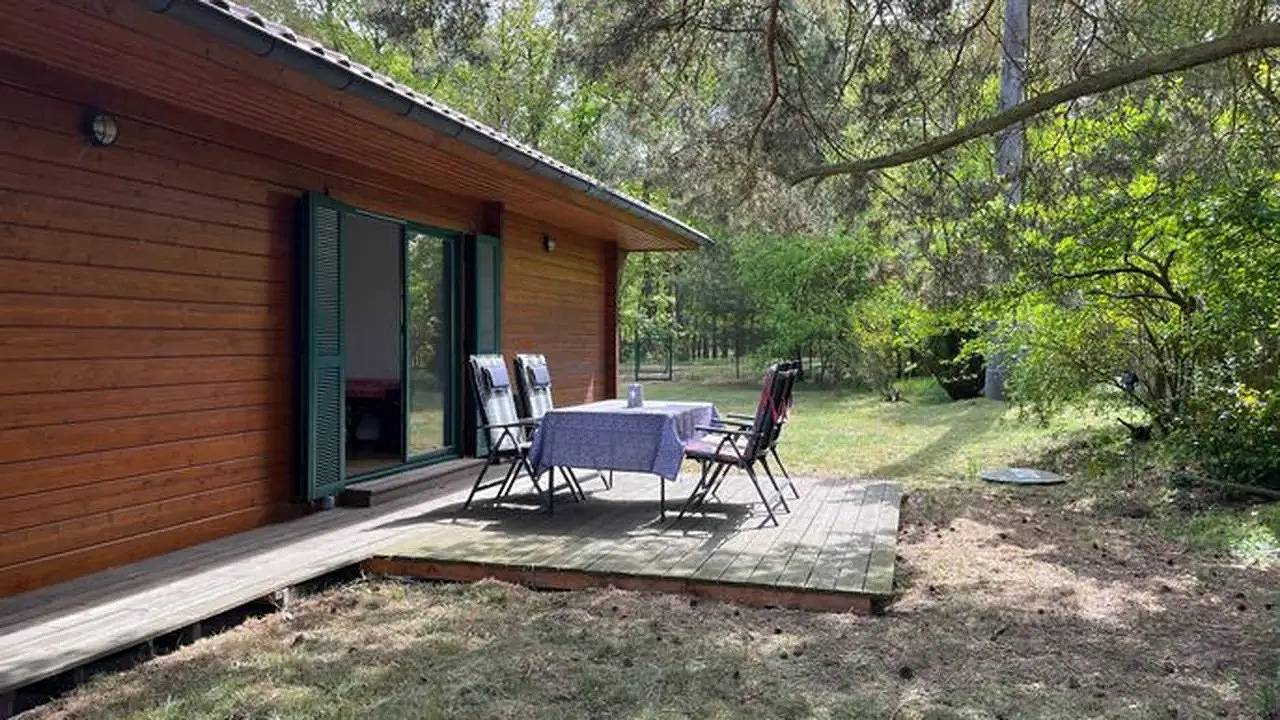 Ferienhaus für 2 Personen (80 m²) in Viereck in Viereck, Vorpommern Greifswald