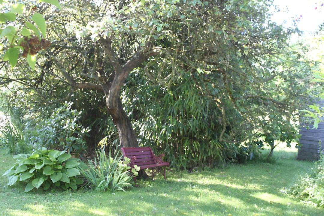 Les Agnates - Thym in Flagey-Echézeaux, Région de Beaune