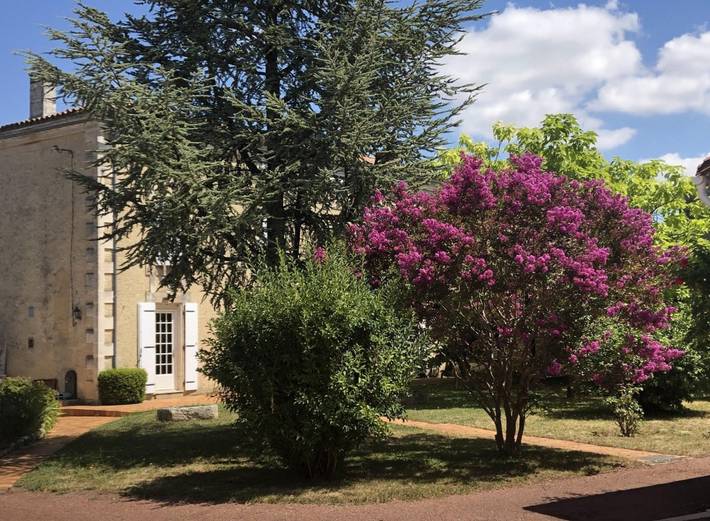 Chambre d’hôte pour 2 personnes, avec Jardin et Piscine dans Asnières-sur-Nouère