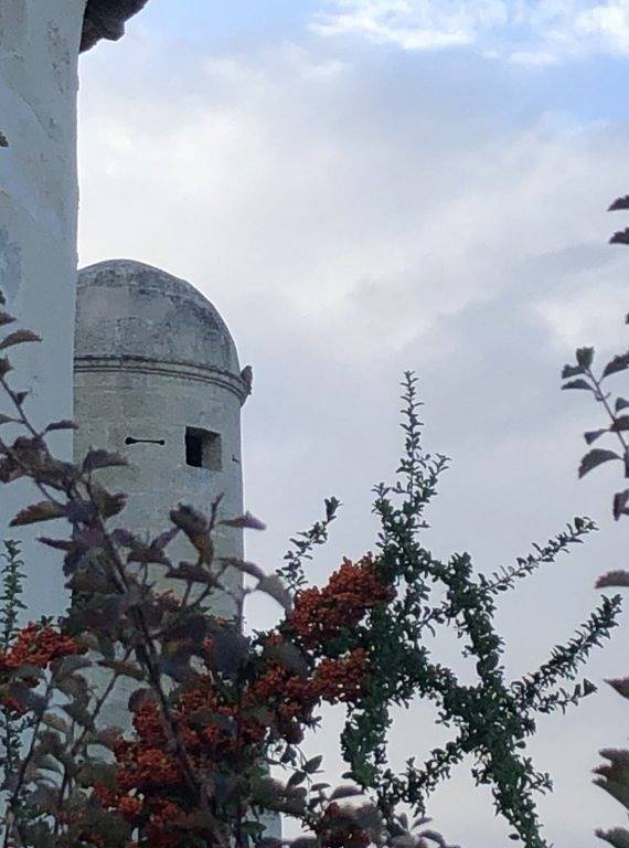 Chambre d’hôte pour 2 personnes, avec sauna et jardin, animaux acceptés en Gironde - 2