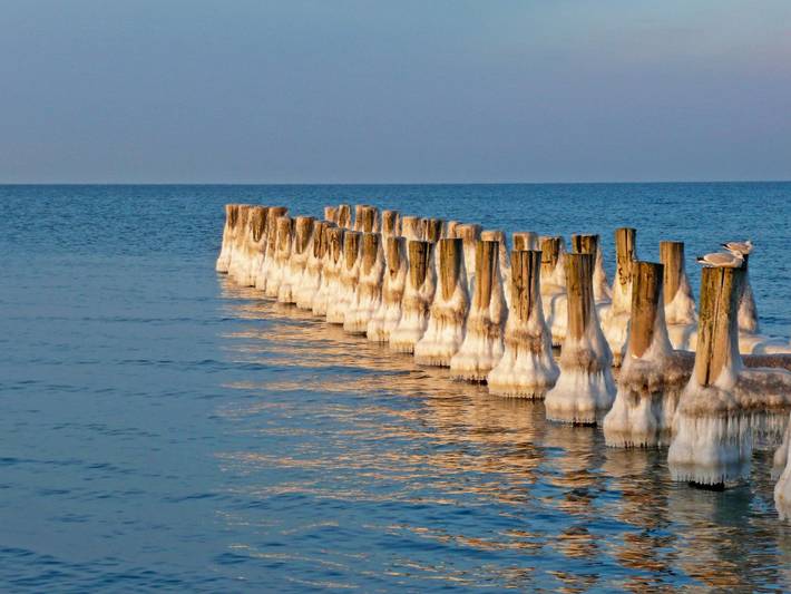 Boot für 7 Personen, mit Terrasse und Ausblick sowie Seeblick, mit Haustier in Mecklenburg-Vorpommern - 4