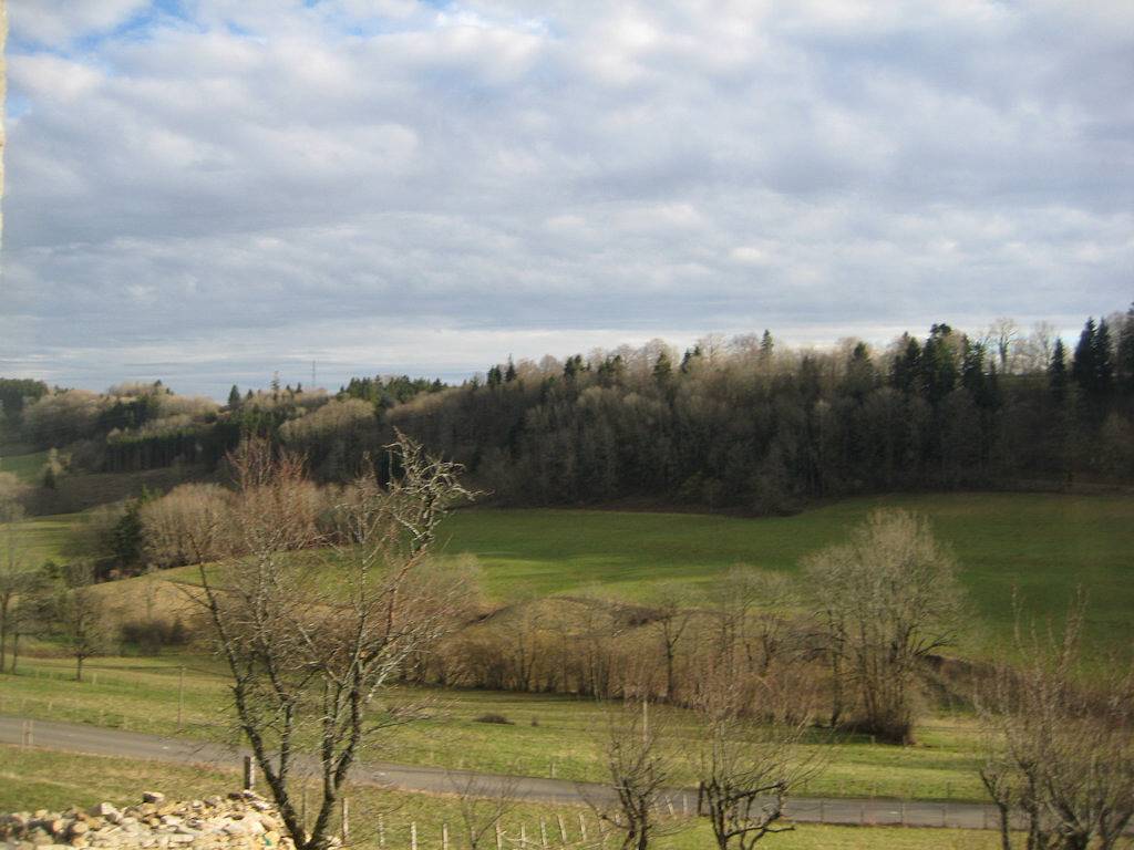 Chambre d'hôtes au calme - Chambre 1 in Montmahoux, Doubs