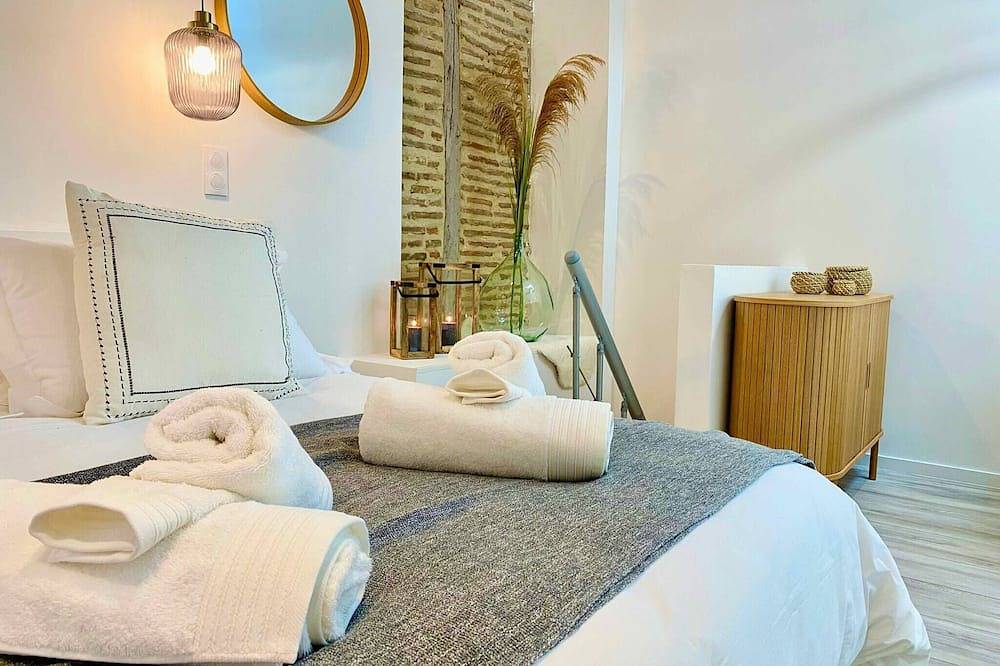 Entire apartment, La Parenthèse Occitane - Downtown - Netflix in Castres, Castres region