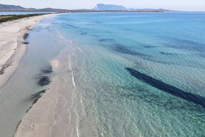 Gîte pour 4 personnes, avec balcon/terrasse et piscine à Monte Petrosu - 2