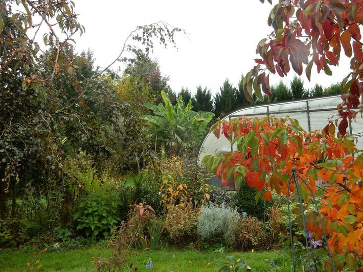 Gîte pour 3 personnes, avec terrasse ainsi que piscine et jardin dans la Creuse - 3