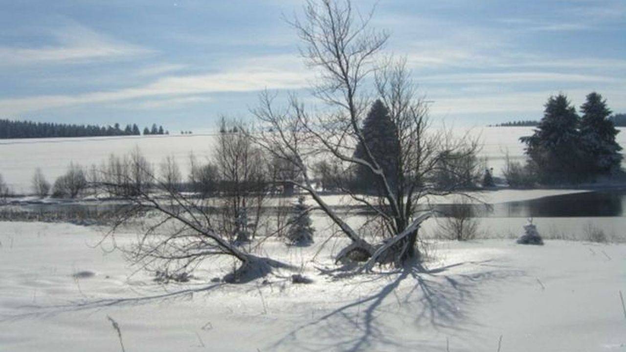 Ganze Ferienwohnung, Ferienwohnung für 3 Personen (42 m²) in Buntenbock in Buntenbock, Clausthal-Zellerfeld