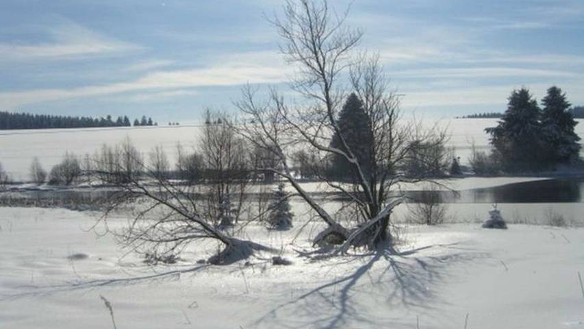 Ferienwohnung für 3 Personen, mit Garten und Terrasse in Buntenbock - 2
