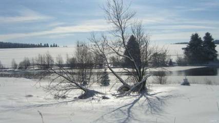 Ferienwohnung für 3 Personen in Clausthal-Zellerfeld, Oberharz, Bild 1