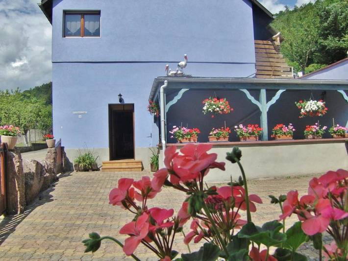 Location de vacances pour 8 personnes, avec Terrasse et Vue à Bœrsch