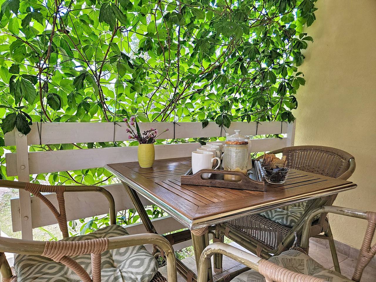 Country pleasures cottage in Zagora Dalmatie