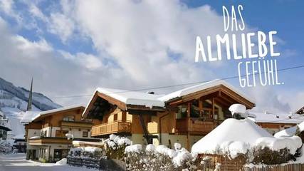 Hütte für 5 Personen in Maria Alm am Steinernen Meer, Maria Alm, Bild 1