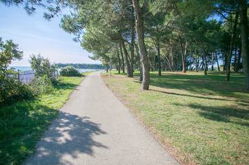 Ferienwohnung für 3 Personen in Novigrad, Umag und Umgebung, Bild 2