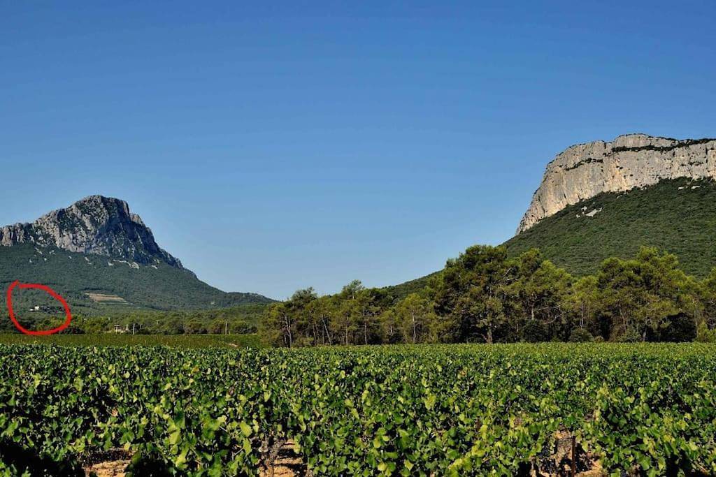 Gîte du Pic Saint loup in Valflaunès, Côte méditerranéenne (France)