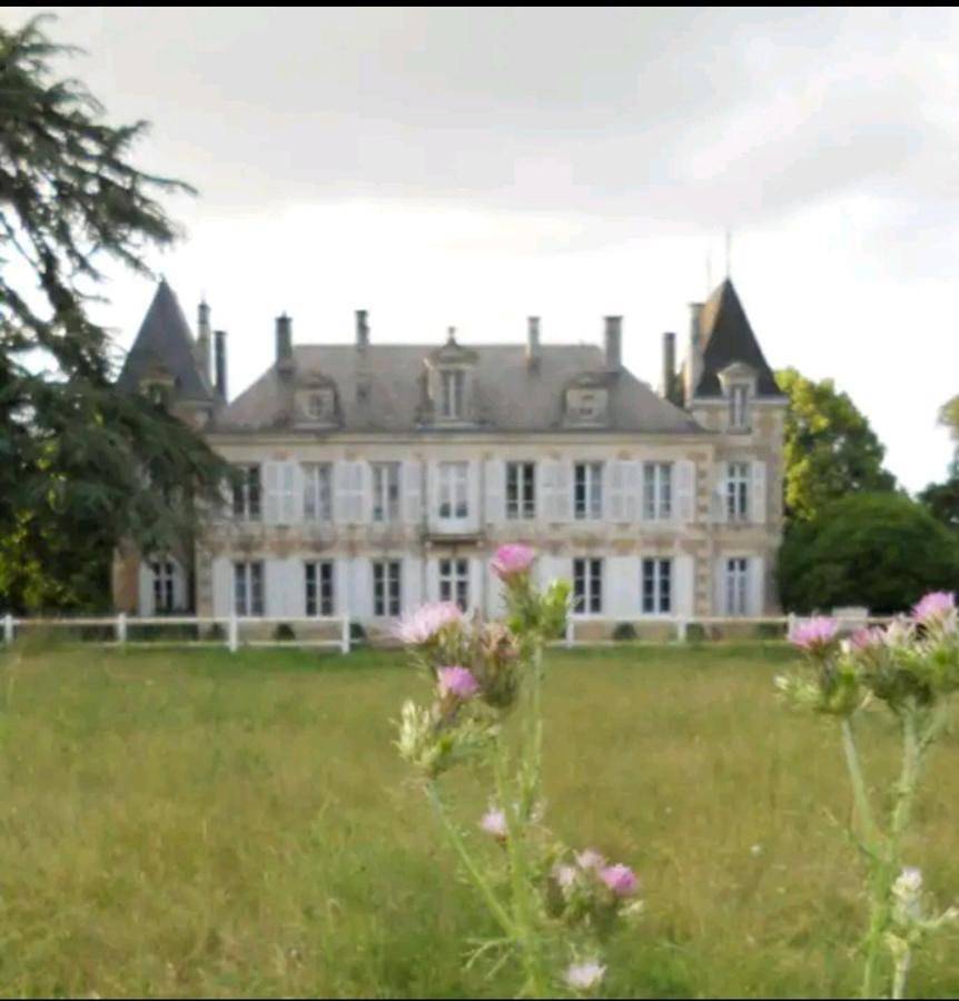 Six-Bedroom House in Saint-Julien-l'Ars, Vienne (France)