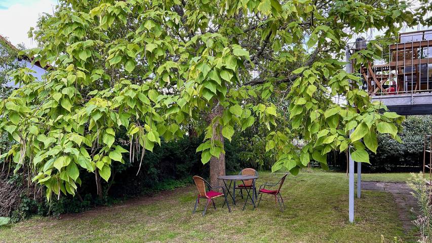 Gîte pour 2 personnes, avec balcon et jardin à Homburg - 2