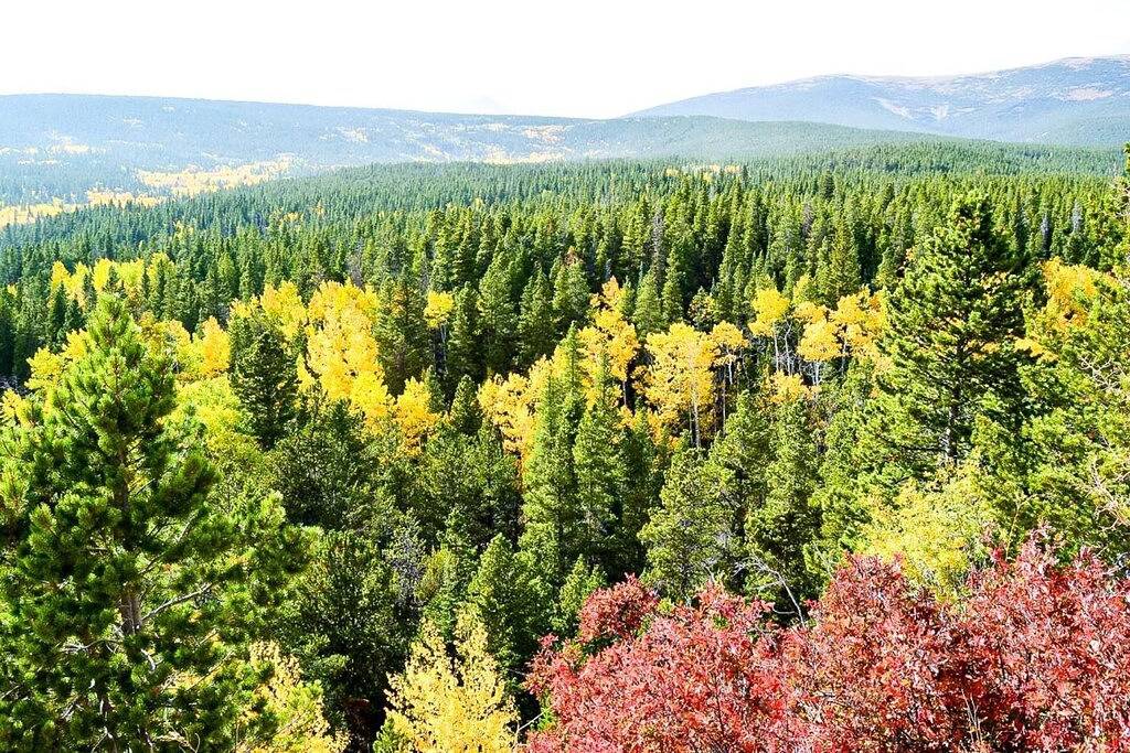 Ganze Wohnung, Dillon Ski Hub |Modern Sail Lofts Condo with Fireplace |Heated Garage |Summit Shuttle Access in Dillon, Arapaho and Roosevelt National Forests