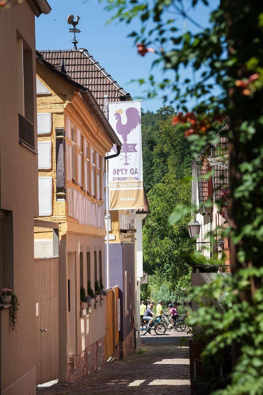 Ganze Ferienwohnung, Wohnung in Marktheidenfeld mit Terrasse, Garten und Grill in Marktheidenfeld, Spessart-Mainland