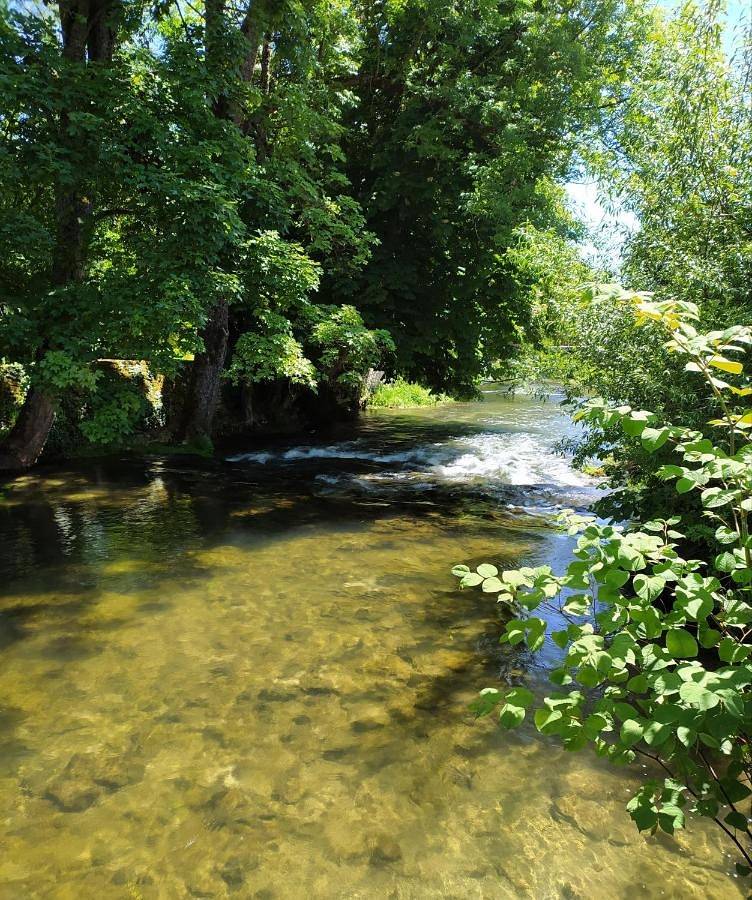 L'orée des 3 Rivières in Is-sur-Tille, Région de Dijon