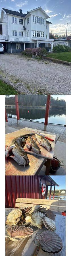 Ferienwohnung für 4 Personen, mit Garten und Ausblick auf Hitra - 2