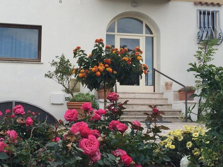 Hôtel pour 2 personnes, avec terrasse et jardin, animaux acceptés à San Felice Circeo - 4