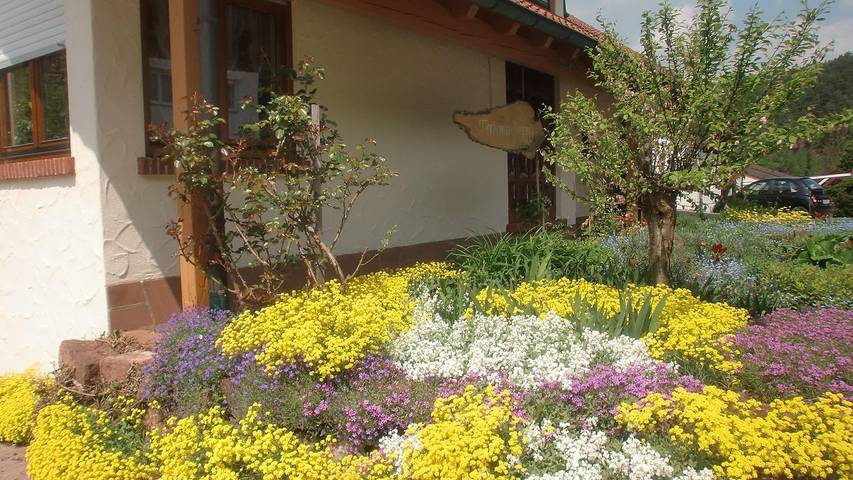 Ferienwohnung für 4 Personen, mit Terrasse und Garten sowie Sauna in Bruchweiler-Bärenbach - 3