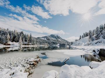 Chalet für 12 Personen in Predlitz-Turrach, Westliche Obersteiermark, Bild 4