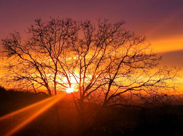 Ferienhaus für 7 Personen, mit Sauna und Garten im Bayerischer Wald - 4