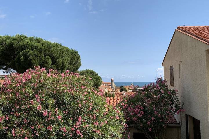 Ferienwohnung für 4 Personen, mit Garten, mit Haustier in Collioure