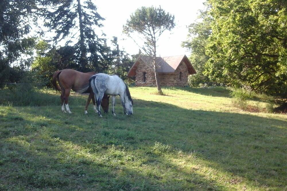 Petite maison en pierre des plus insolites à la campagne in Habas, Région de Dax
