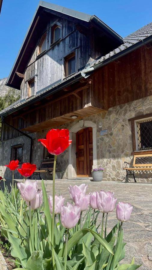 Camping für 2 Personen, mit Garten und Ausblick in Bled