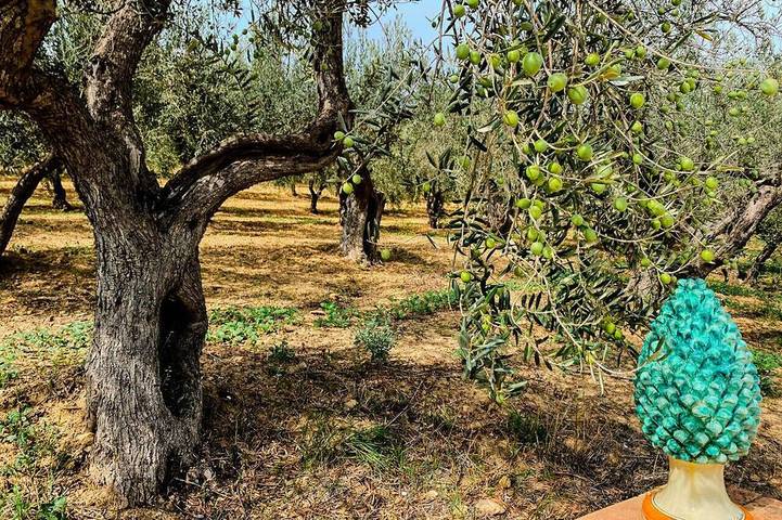 Holiday apartment for 5 people, with garden, with pets - 1