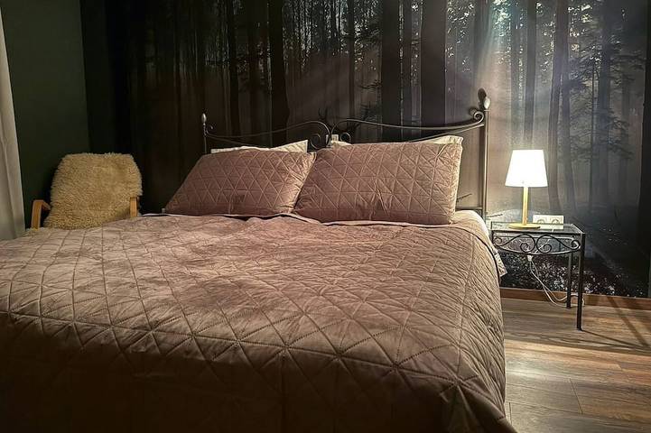 Gîte pour 3 personnes dans Wutoschingen - 2