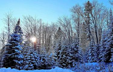 Vakantiehuis voor 6 Personen in Lac-Supérieur, Quebec (provincie), Afbeelding 1