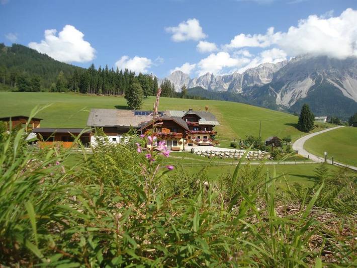 Ferienwohnung für 3 Personen, mit Balkon und Garten in Ramsau am Dachstein - 4
