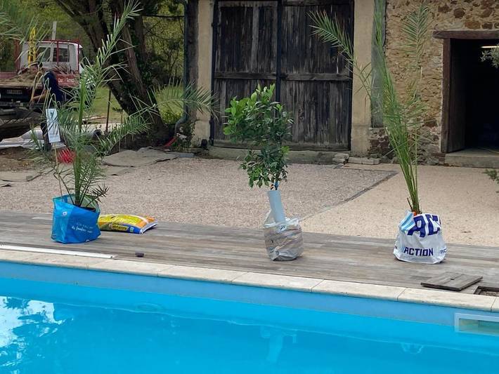 Location de vacances pour 26 personnes, animaux acceptés dans Mont-de-Marsan - 2