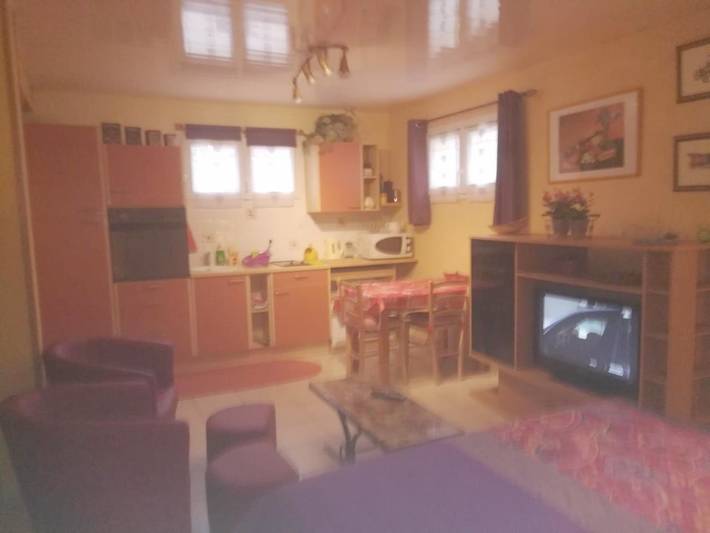 Location de vacances pour 2 personnes à Montricher-Albanne - 3