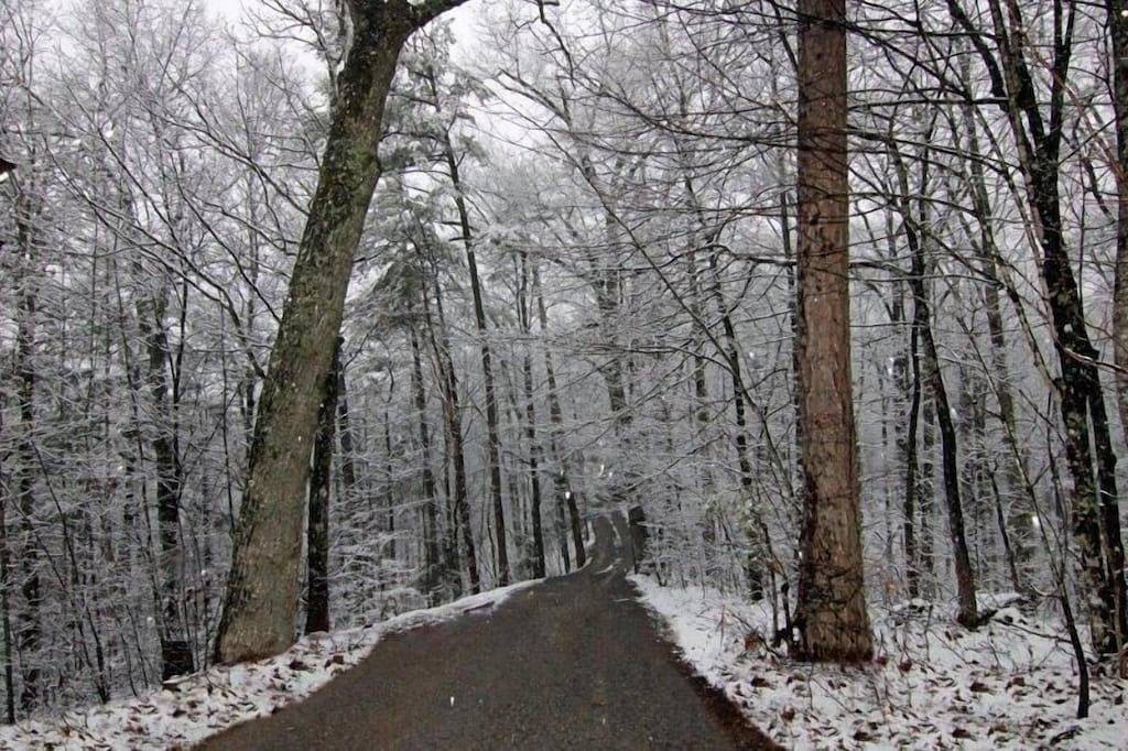 Über $ 700 in Gratis-Tickets, abgelegene Hütte, Aussicht, Whirlpool, Herz-Jacuzzi, Internet, Gatlinburg / Pf in Gatlinburg, Sevier County