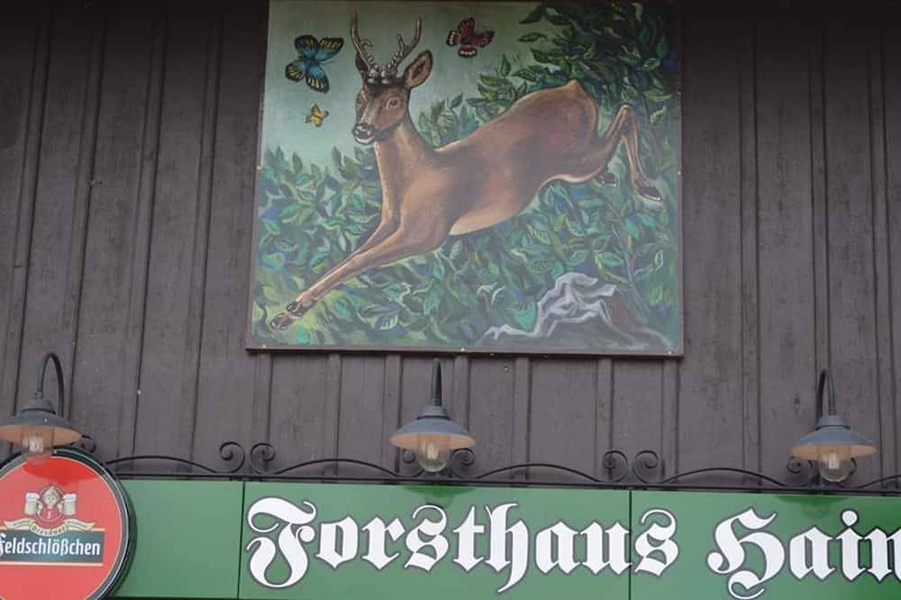 Pension Forsthaus Hain - Doppelzimmer Kat. A in Oybin, Zittauer Gebirge
