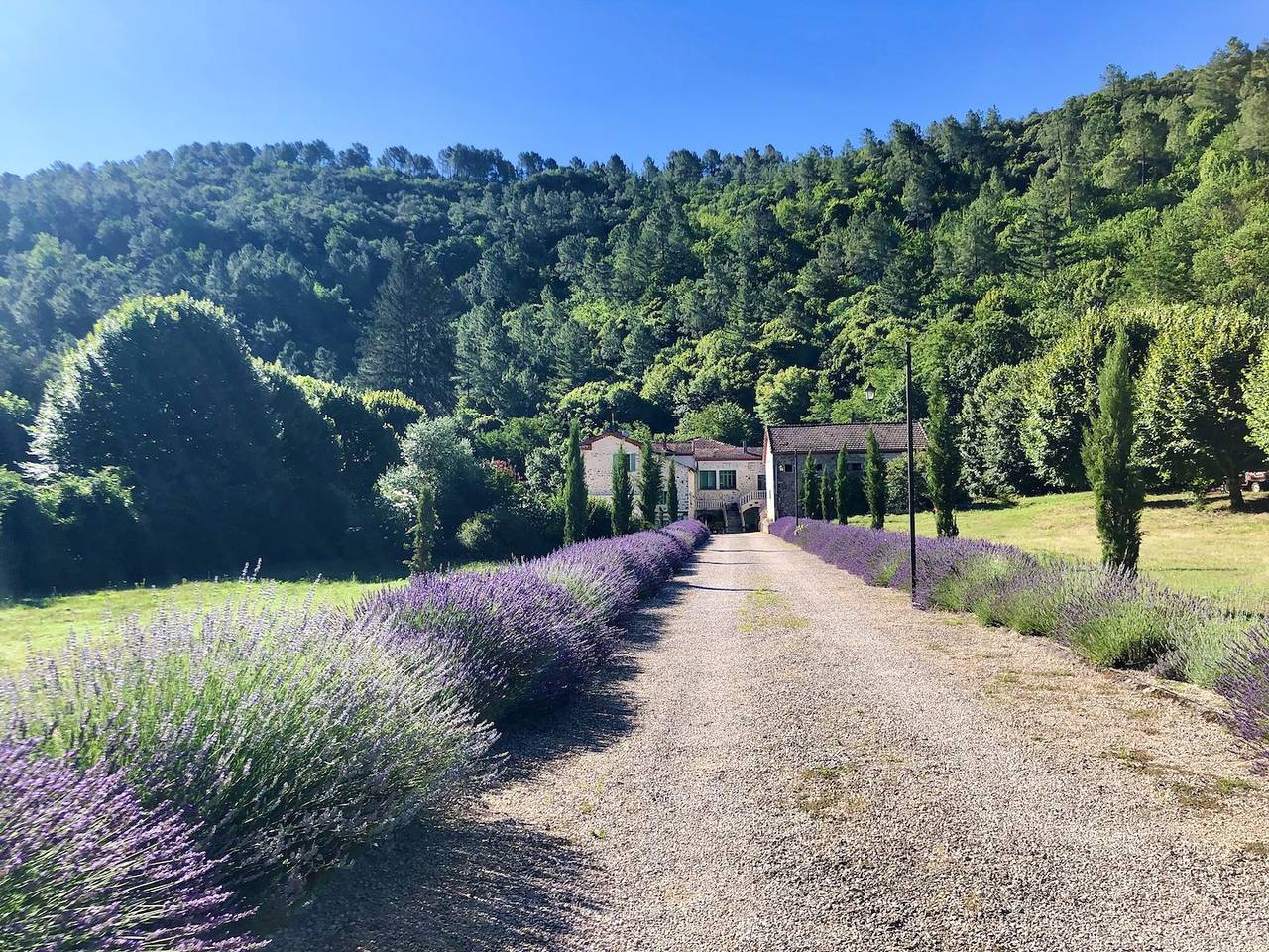 Château du Fraissinet - Les Tilleuls in Branoux-les-Taillades, Parc national des Cévennes