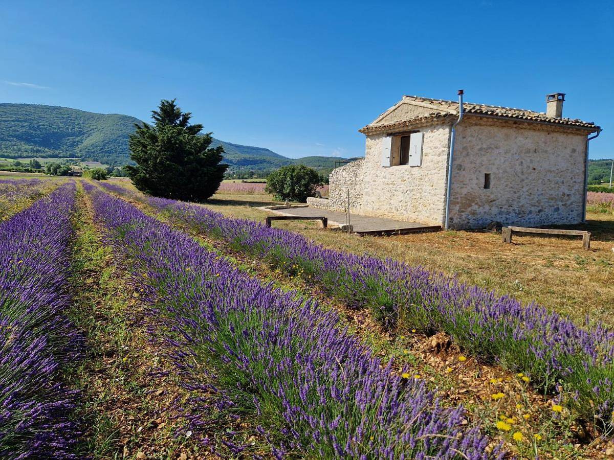 One-Bedroom House in Sault, Parc naturel régional du Mont-Ventoux
