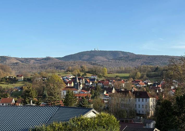 Ferienhaus für 4 Personen, mit Ausblick und Garten, mit Haustier am Rennsteig - 4