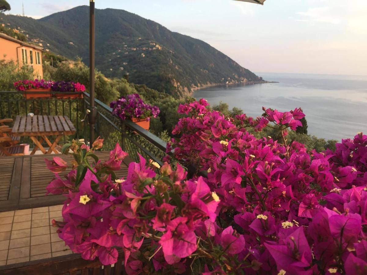 B&B Case Rosse in Camogli, Riviera di Levante