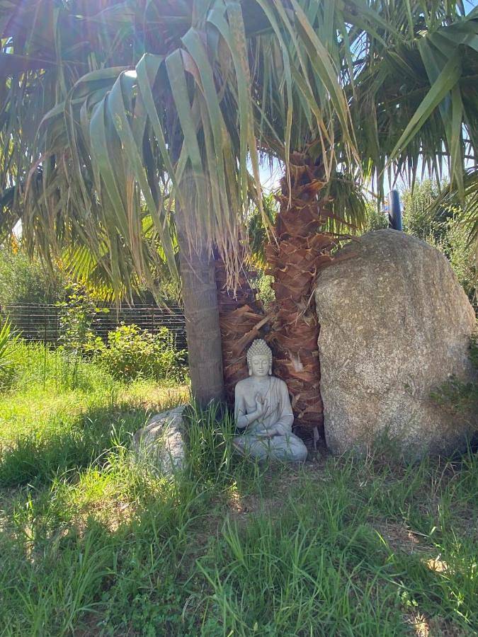 Maison d’hôte pour 2 personnes, avec vue et piscine ainsi que terrasse et jardin à Le Plan-de-la-Tour - 4