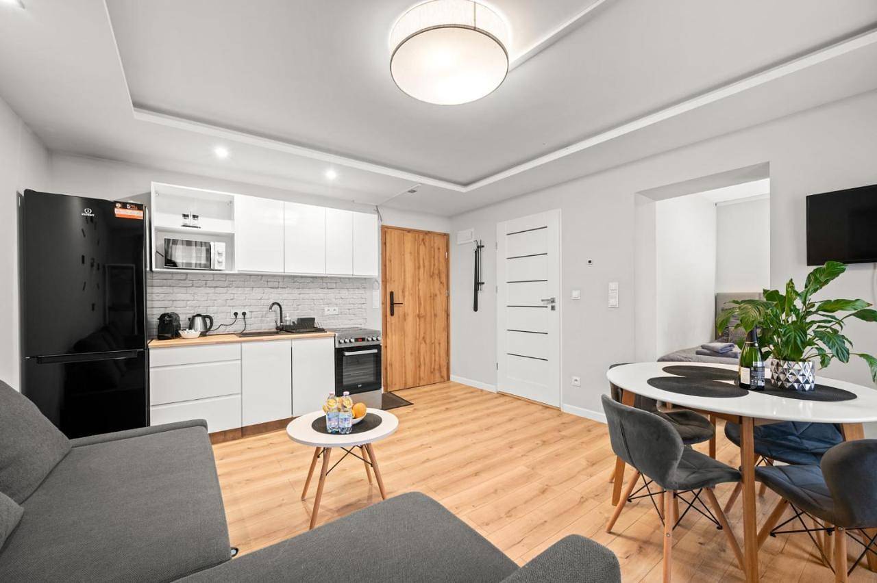 Cały apartament, Central Platinum Apartments 14 in Rybnik, Śląsk