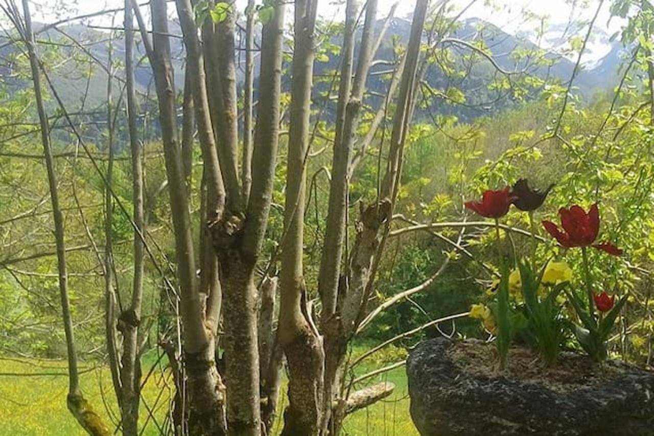 Holiday home for 12 people with garden in Garin, French Pyrenees