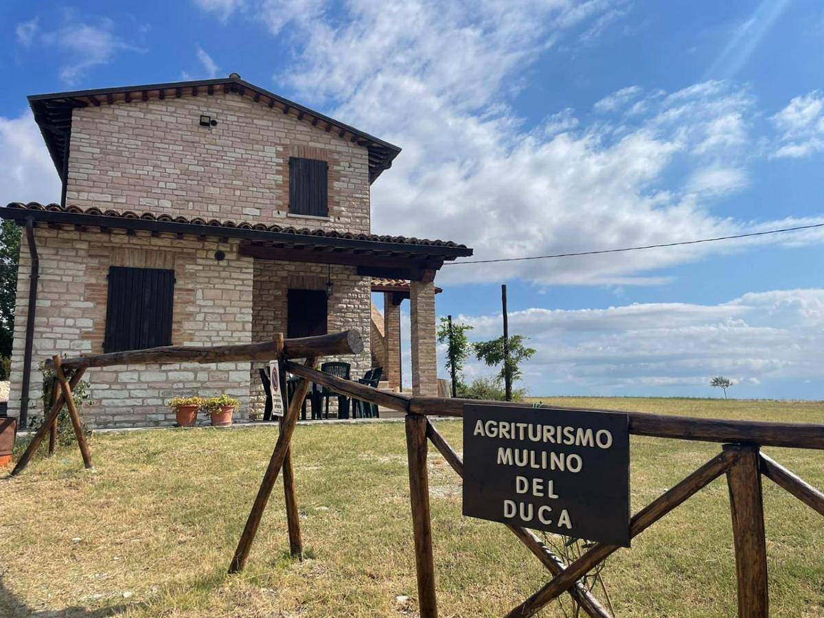Appartamento intero, Agriturismo Mulino del Duca in Urbino, Valle del Metauro