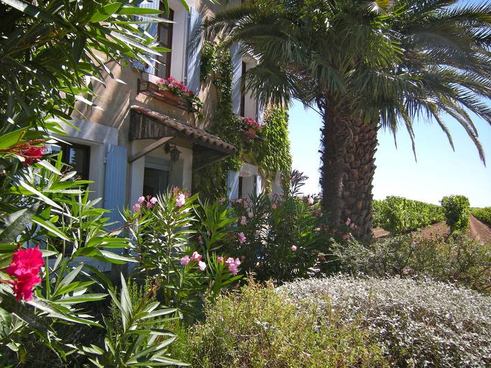 Gîte pour 2 personnes, avec piscine à Puichéric - 4